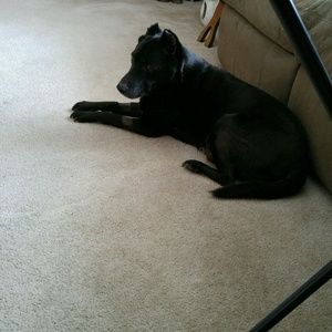 Meet your Posher, Tina